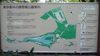 井の頭公園1