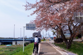 入間川サイクリング